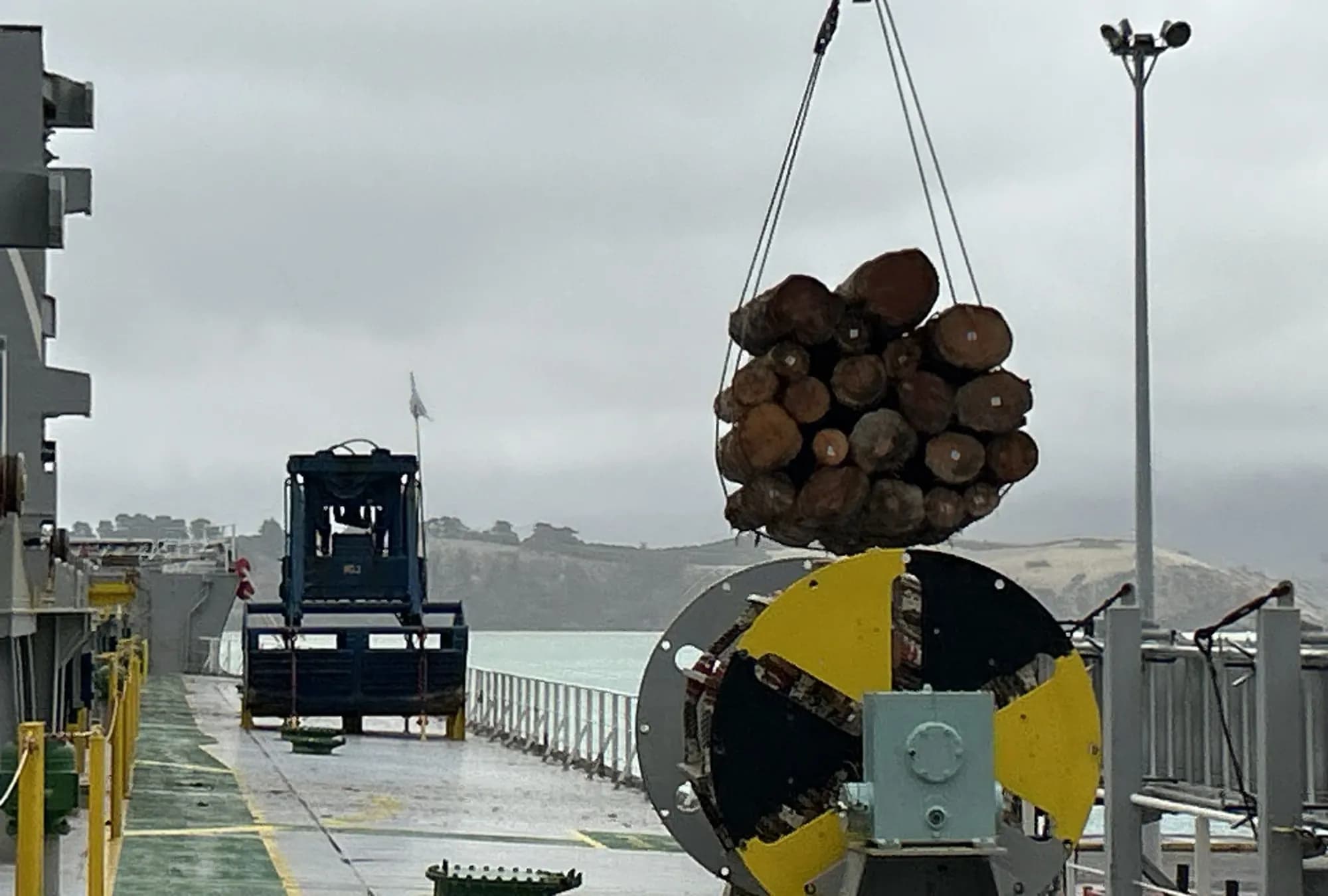 Every log carries its own tag. The tally at the rail has to match the tally ashore.