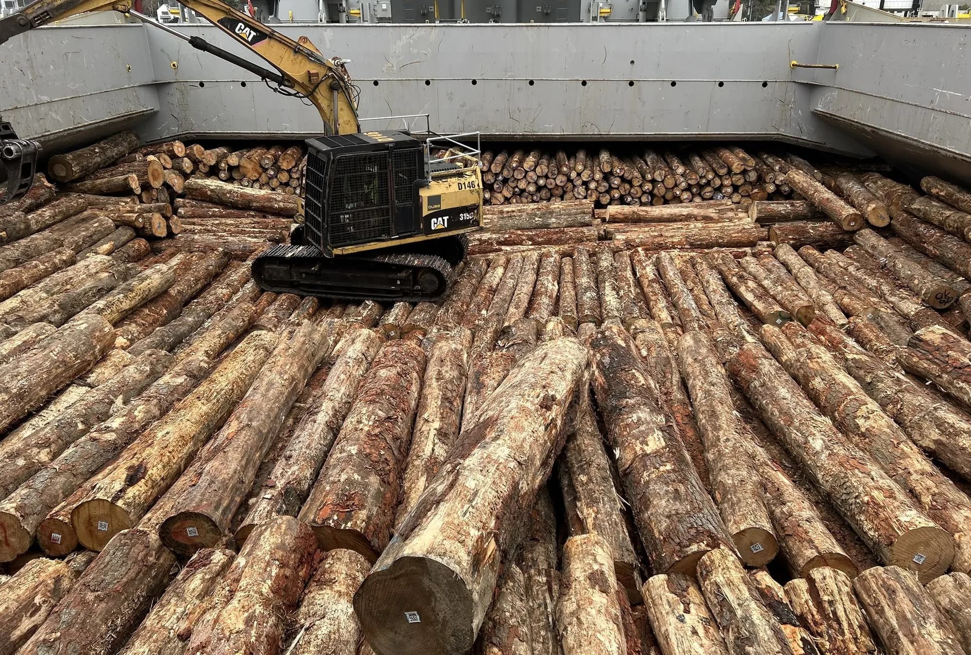 Butt ends dressed to the coaming so the tier above sits level across the hold.